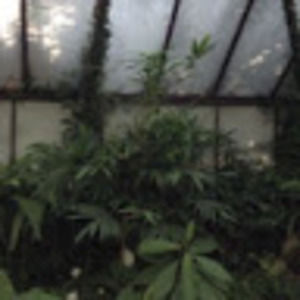 Meet your Posher, Brenna